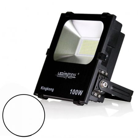 Прожектор LED заливного света FF 100