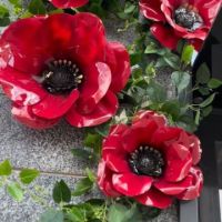 ПЭТ пластик